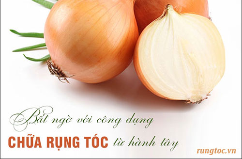 Bất ngờ với công dụng trị rụng tóc của hành tây